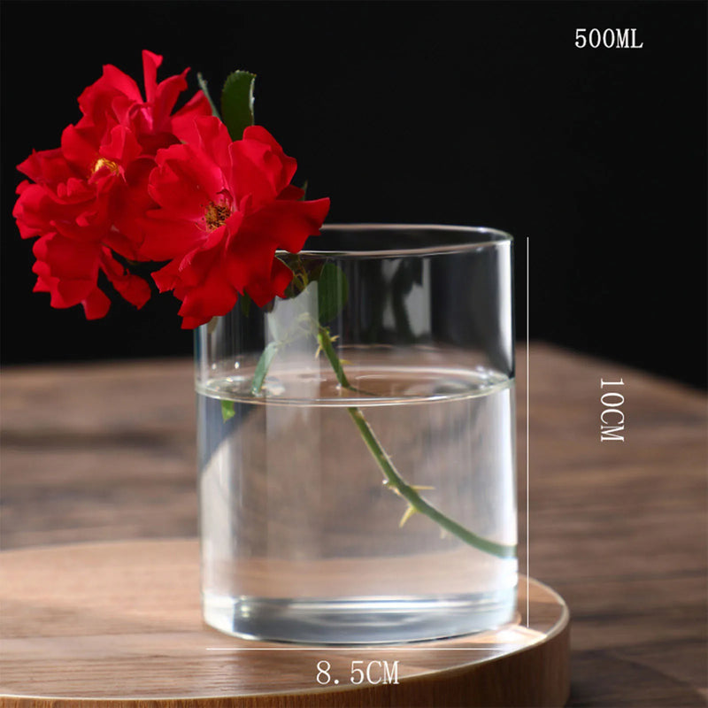 Minimalist Glass Vase Cylindrical Design