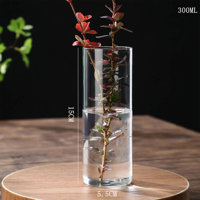 Minimalist Glass Vase Cylindrical Design