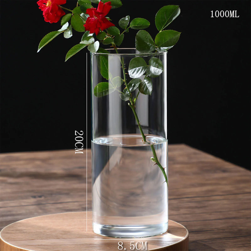 Minimalist Glass Vase Cylindrical Design