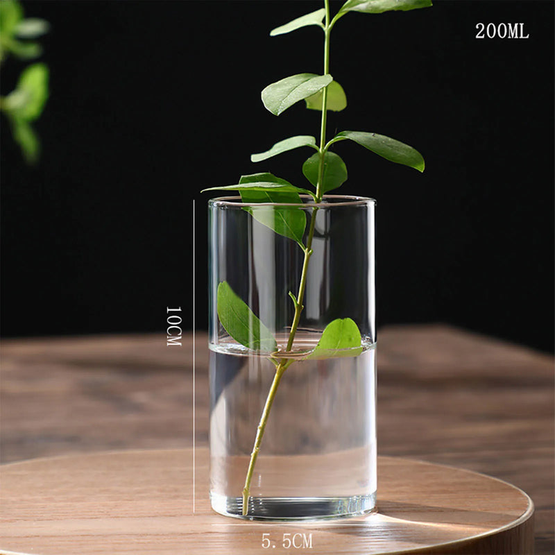 Minimalist Glass Vase Cylindrical Design