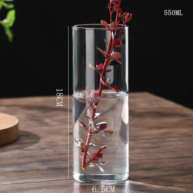 Minimalist Glass Vase Cylindrical Design