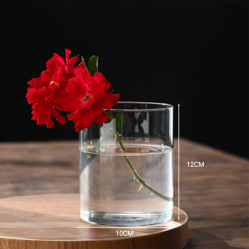 Minimalist Glass Vase Cylindrical Design