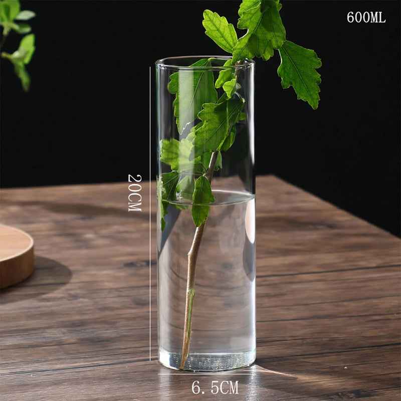 Minimalist Glass Vase Cylindrical Design