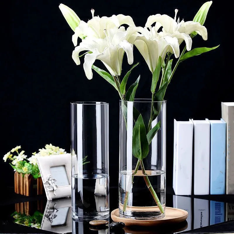 Minimalist Glass Vase Cylindrical Design