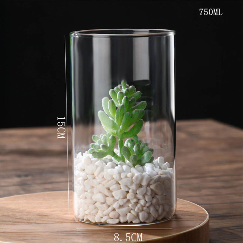 Minimalist Glass Vase Cylindrical Design