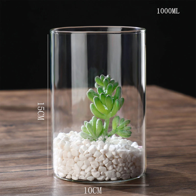 Minimalist Glass Vase Cylindrical Design