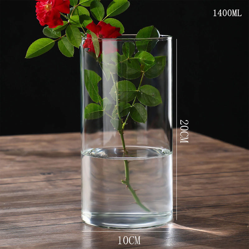 Minimalist Glass Vase Cylindrical Design