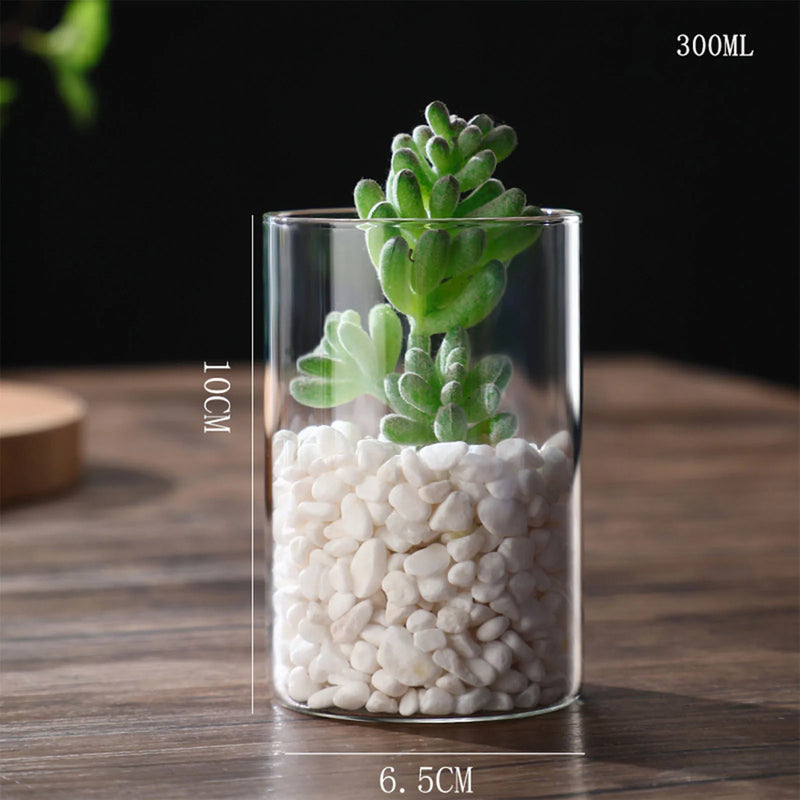 Minimalist Glass Vase Cylindrical Design