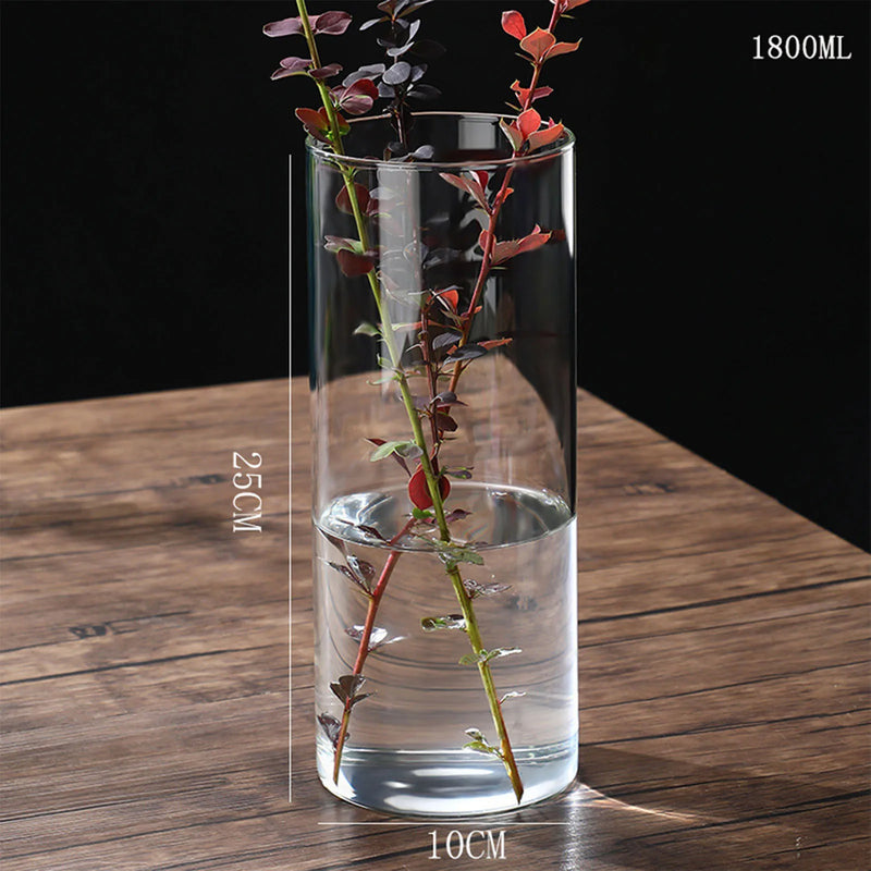 Minimalist Glass Vase Cylindrical Design