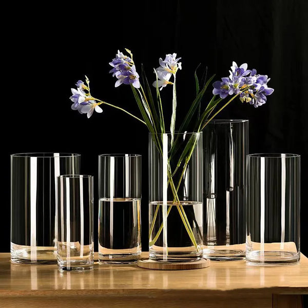 Minimalist Glass Vase Cylindrical Design