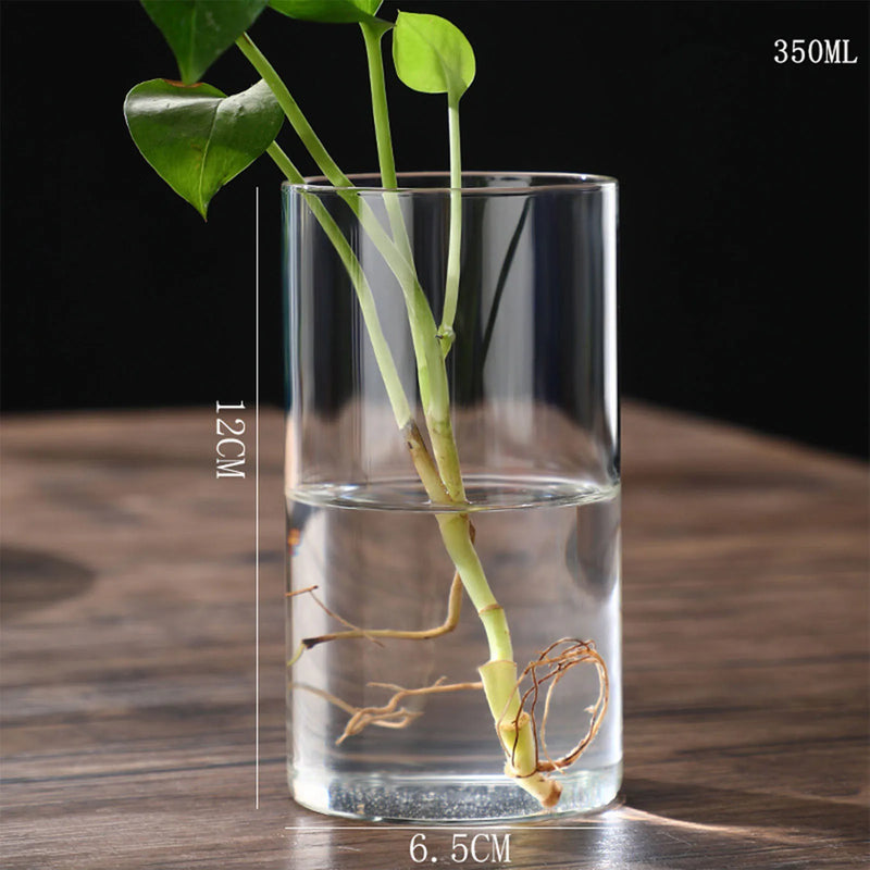 Minimalist Glass Vase Cylindrical Design